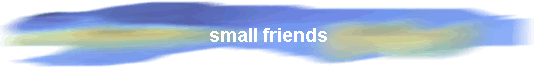 small friends